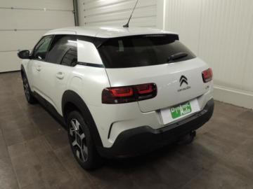 CITROEN C4 CACTUS SHINE BUSINESS HDI 100